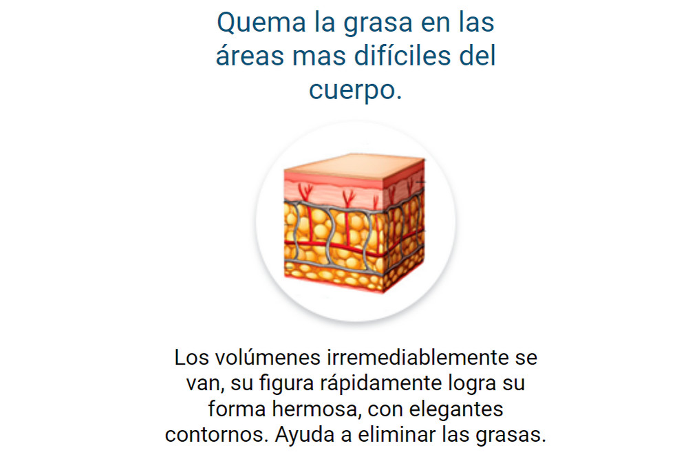 IDEALICA componentes